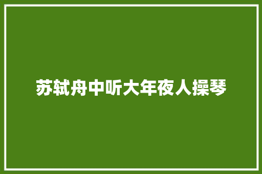 苏轼舟中听大年夜人操琴