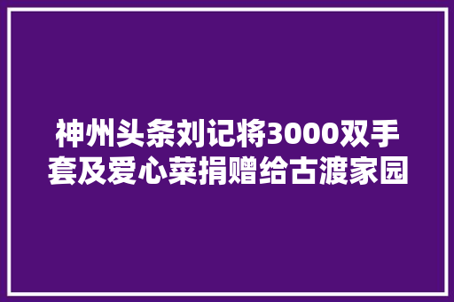 神州头条刘记将3000双手套及爱心菜捐赠给古渡家园物业