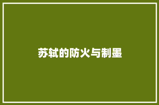 苏轼的防火与制墨