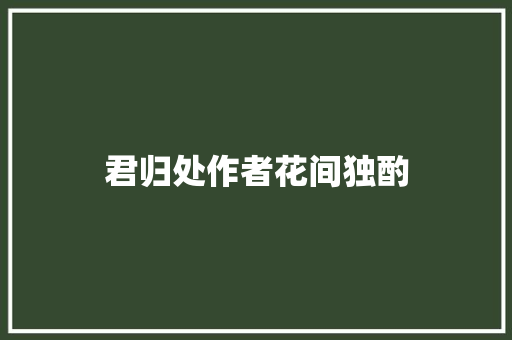 君归处作者花间独酌