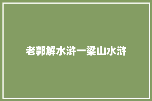 老郭解水浒一梁山水浒