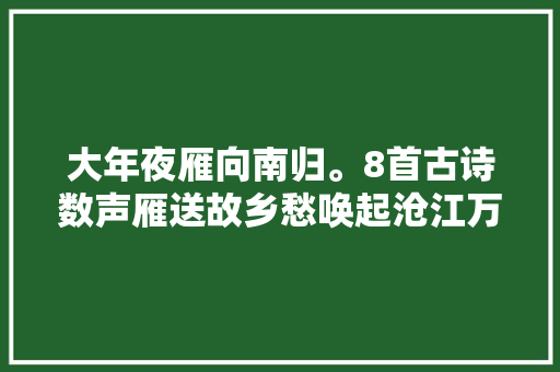 大年夜雁向南归。8首古诗数声雁送故乡愁唤起沧江万顷秋