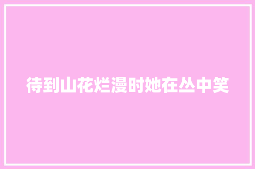 待到山花烂漫时她在丛中笑