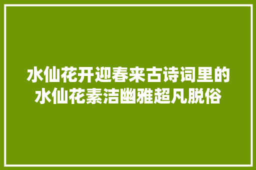 水仙花开迎春来古诗词里的水仙花素洁幽雅超凡脱俗