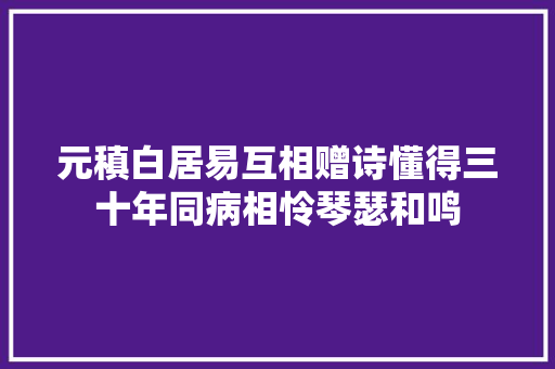 元稹白居易互相赠诗懂得三十年同病相怜琴瑟和鸣