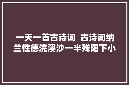 一天一首古诗词  古诗词纳兰性德浣溪沙一半残阳下小楼