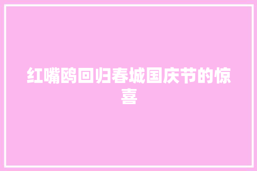 红嘴鸥回归春城国庆节的惊喜