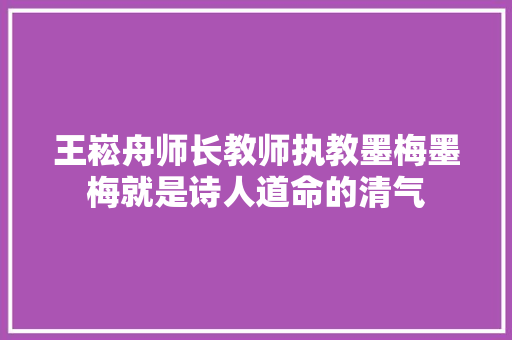 王崧舟师长教师执教墨梅墨梅就是诗人道命的清气