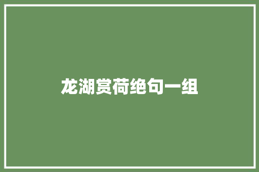 龙湖赏荷绝句一组