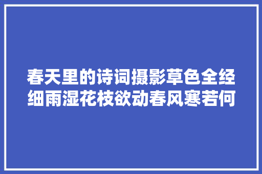春天里的诗词摄影草色全经细雨湿花枝欲动春风寒若何拍