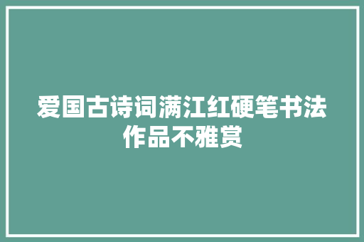爱国古诗词满江红硬笔书法作品不雅赏