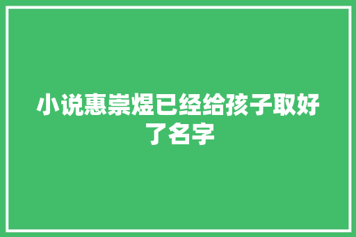 小说惠崇煜已经给孩子取好了名字