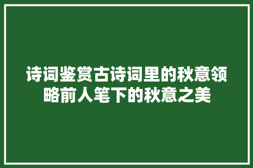 诗词鉴赏古诗词里的秋意领略前人笔下的秋意之美