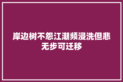 岸边树不怨江潮频浸洗但悲无步可迁移