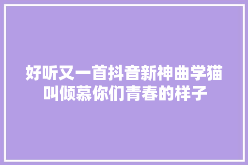 好听又一首抖音新神曲学猫叫倾慕你们青春的样子