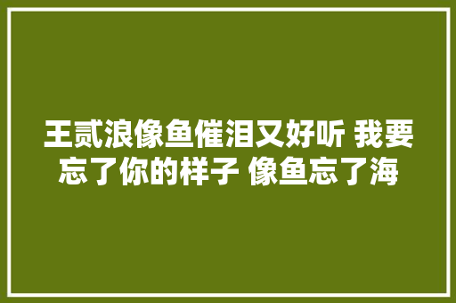 王贰浪像鱼催泪又好听 我要忘了你的样子 像鱼忘了海的味道