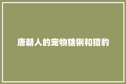 唐朝人的宠物猞猁和猎豹