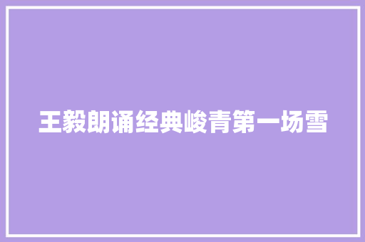 王毅朗诵经典峻青第一场雪