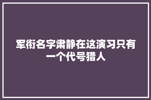 军衔名字肃静在这演习只有一个代号猎人
