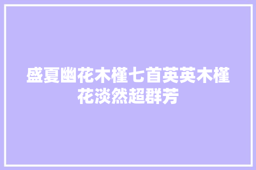 盛夏幽花木槿七首英英木槿花淡然超群芳