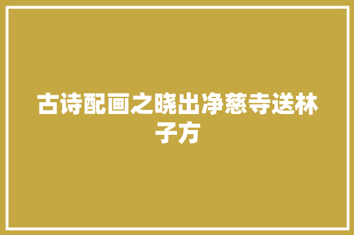 古诗配画之晓出净慈寺送林子方