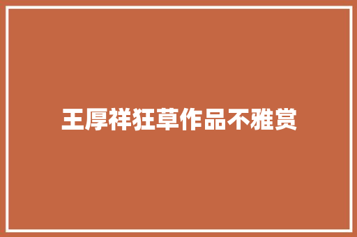 王厚祥狂草作品不雅赏