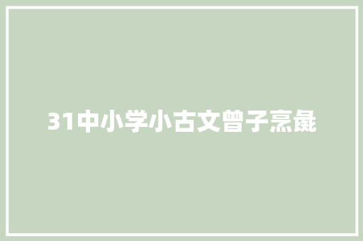 31中小学小古文曾子烹彘