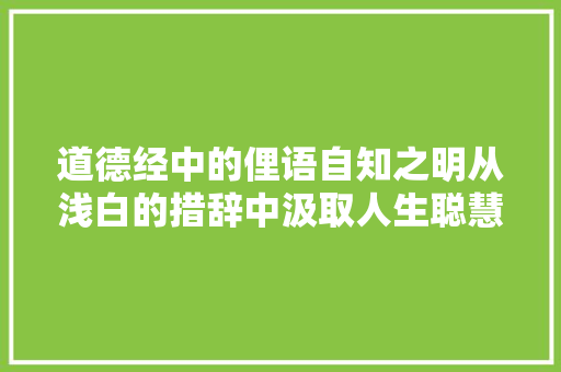 道德经中的俚语自知之明从浅白的措辞中汲取人生聪慧
