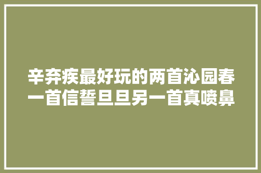 辛弃疾最好玩的两首沁园春一首信誓旦旦另一首真喷鼻香