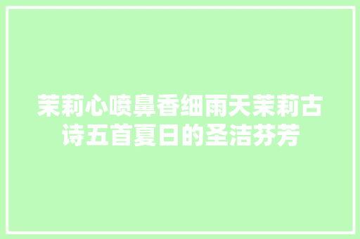 茉莉心喷鼻香细雨天茉莉古诗五首夏日的圣洁芬芳