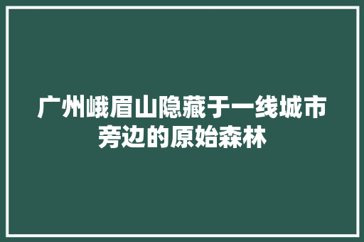 广州峨眉山隐藏于一线城市旁边的原始森林