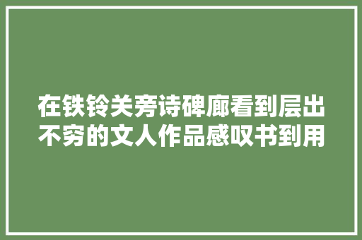 在铁铃关旁诗碑廊看到层出不穷的文人作品感叹书到用时方恨少