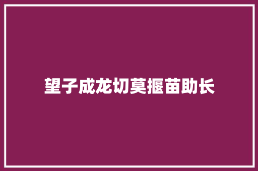 望子成龙切莫揠苗助长