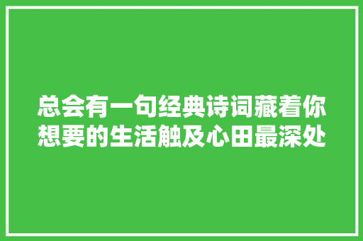 总会有一句经典诗词藏着你想要的生活触及心田最深处