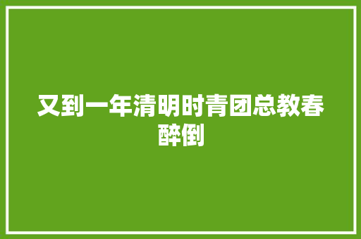 又到一年清明时青团总教春醉倒