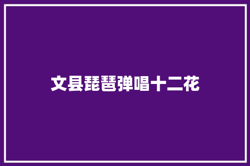 文县琵琶弹唱十二花
