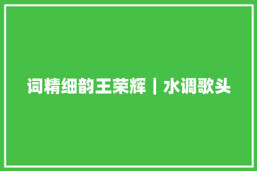 词精细韵王荣辉｜水调歌头