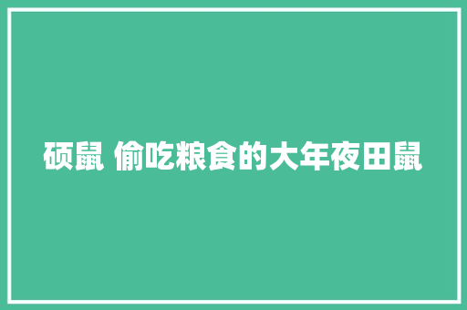 硕鼠 偷吃粮食的大年夜田鼠