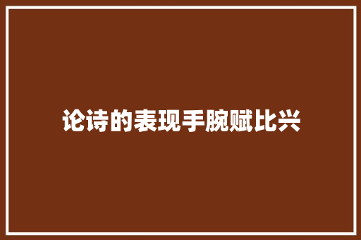 论诗的表现手腕赋比兴
