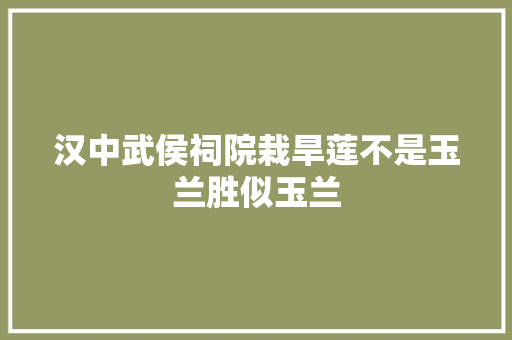 汉中武侯祠院栽旱莲不是玉兰胜似玉兰