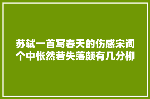 苏轼一首写春天的伤感宋词个中怅然若失落颇有几分柳永词风格