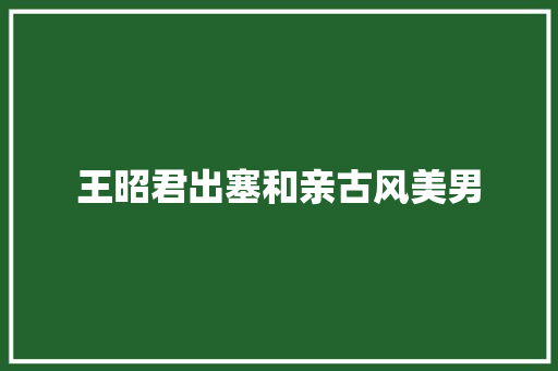 王昭君出塞和亲古风美男