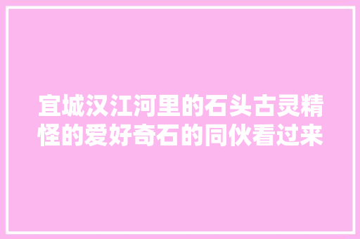 宜城汉江河里的石头古灵精怪的爱好奇石的同伙看过来