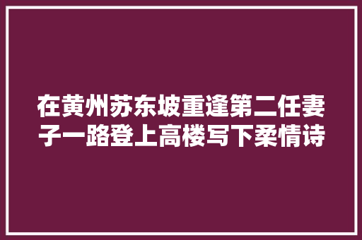 在黄州苏东坡重逢第二任妻子一路登上高楼写下柔情诗篇
