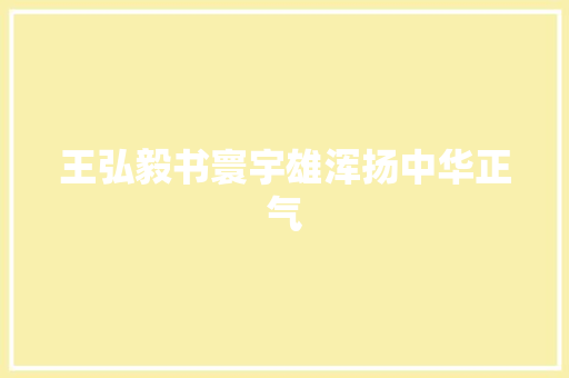 王弘毅书寰宇雄浑扬中华正气