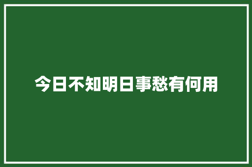 今日不知明日事愁有何用