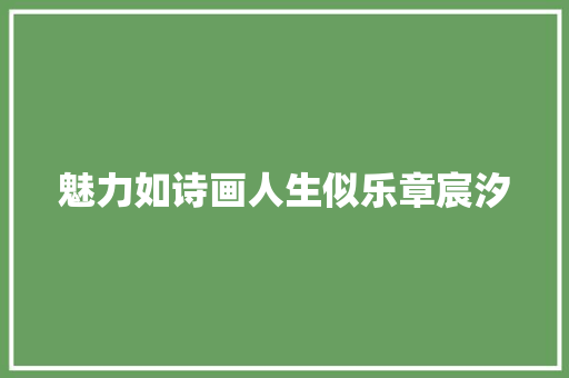 魅力如诗画人生似乐章宸汐