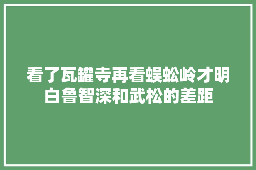 看了瓦罐寺再看蜈蚣岭才明白鲁智深和武松的差距
