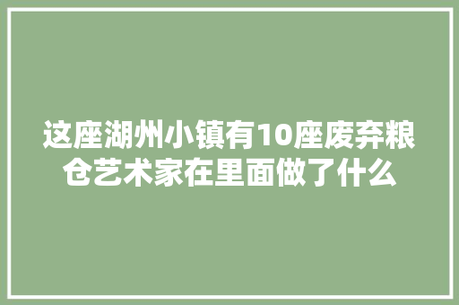 这座湖州小镇有10座废弃粮仓艺术家在里面做了什么