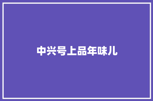 中兴号上品年味儿